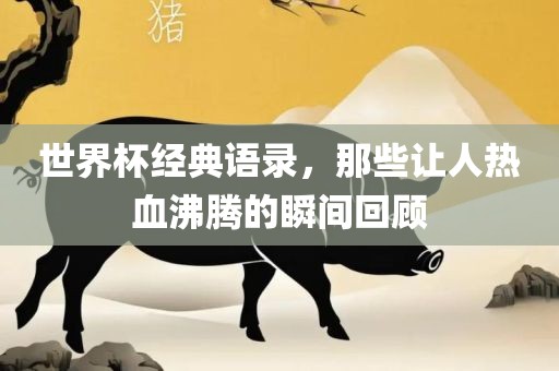 世界杯经漯河市盈旭机械设备有限公司典语录，那些让人热血沸腾的瞬间回顾