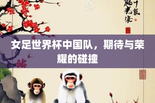 女足世界杯中国队，期待与荣耀的碰撞