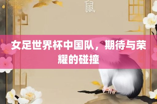 女足世界杯中国队，期待与荣耀的碰撞