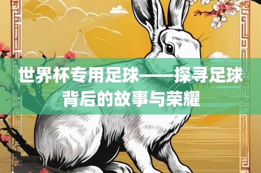 世界杯专用足球——探寻足球背后的故事与荣耀