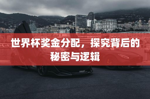 世界杯奖金分配，探究背后的秘密与逻辑