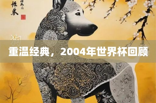 重温经典，2004年世界杯回顾