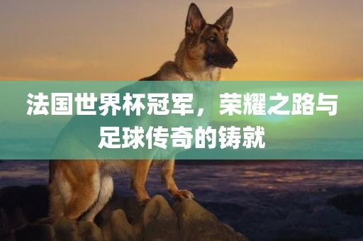 法国世界杯冠军，荣耀之路与足球传奇的铸就