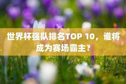 世界杯强队排名TOP 10，谁将成为赛场霸主？