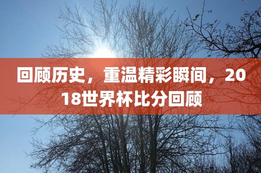 回顾历史，重温精彩瞬间，2018世界杯比分回顾