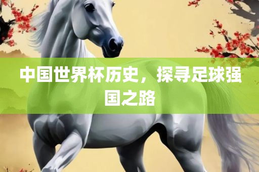 中国世界杯历史，探寻足球强国之路