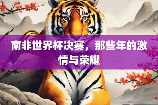 南非世界杯决赛，那些年的激情与荣耀