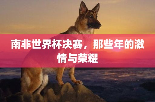 南非世界杯决赛，那些年的激情与荣耀