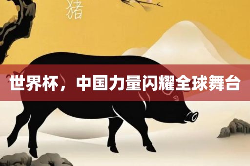 世界杯，中国力量闪耀全球舞台