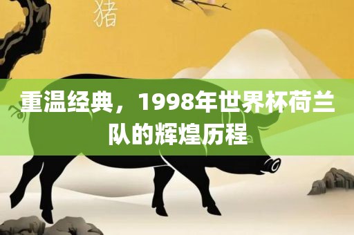 重温经典，1998年世界杯荷兰队的辉煌历程