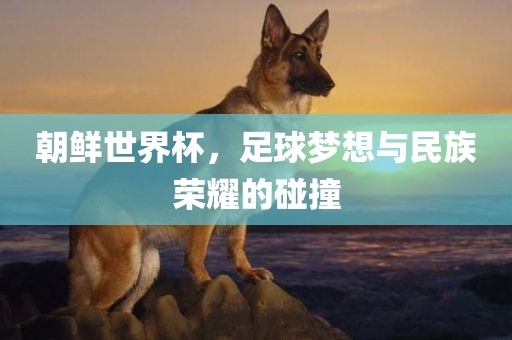 朝鲜世界杯，足球梦想与民族荣耀的碰撞
