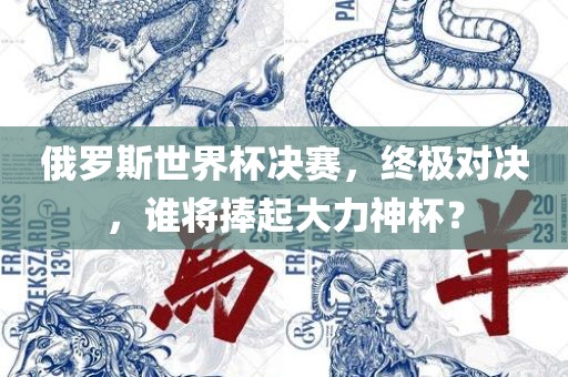 俄罗斯世界杯决赛，终极对决，谁将捧起大力神杯？