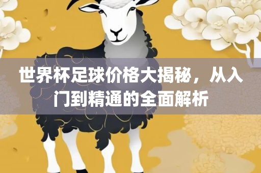 世界杯足球价格大揭秘，从入门到精通的全面解析