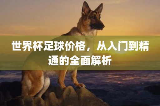 世界杯足球价格，从入门到精通的全面解析