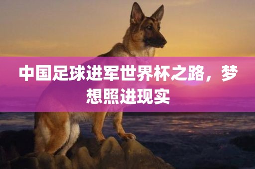 中国足球进军世界杯之路，梦想照进现实