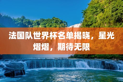 法国队世界杯名单揭晓，星光熠熠，期待无限