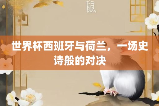 世界杯西班牙与荷兰，一场史诗般的对决漯河市盈旭机械设备有限公司