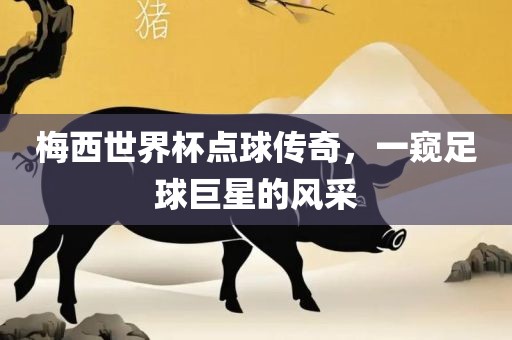 梅西世界杯点球传奇，一窥足球巨星的风采