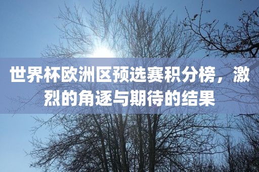 世界杯欧洲区预选赛积分榜，激烈的角逐与期待的结果
