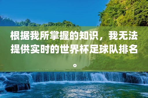 根据我所掌握的知识，我无法提供实时的世界杯足球队排名。