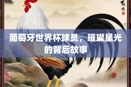 葡萄牙世界杯球员，璀璨星光的背后故事