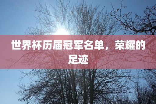 世界杯历届冠军名单，荣耀的足迹漯河市盈旭机械设备有限公司