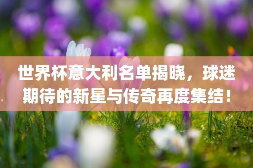世界杯意大利名单揭晓，球迷期待的新星与传奇再度集结！