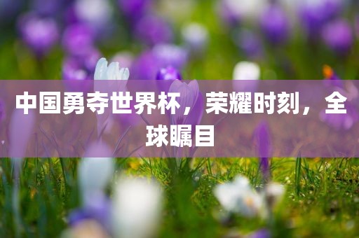 中国世界杯夺冠