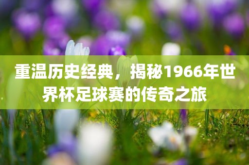 重温历史经典，揭秘1966年世界杯足球赛的传奇之旅