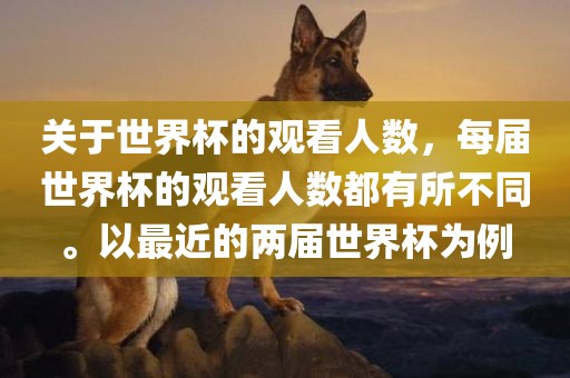 关于世界杯的观看人数，每届世界杯的观看人数都有所不同。以最近的两届世界杯为例