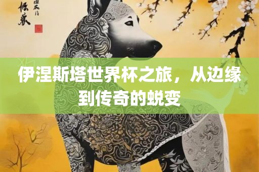 伊涅斯塔世界杯之旅，从边缘到传奇的蜕变