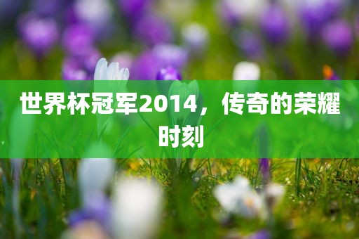 世界杯冠军2014，传奇的荣耀时刻
