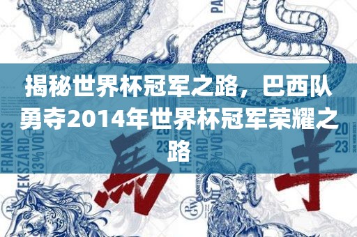 揭秘世界杯冠军之路，巴西队勇夺2014年世界杯冠军荣耀之路