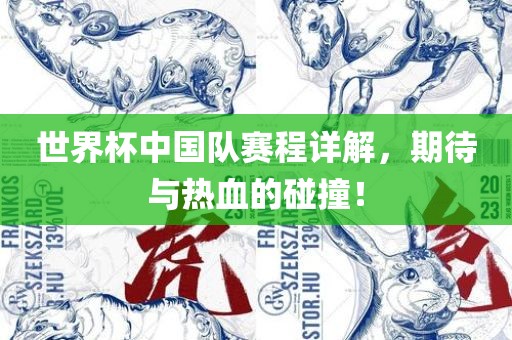 世界杯中国队赛程详解，期待与热血的碰撞！