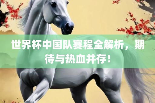 世界杯中国队赛程全解析，期待与热血并存！
