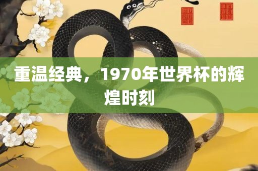 重温经典，1970年世界杯的辉煌时刻