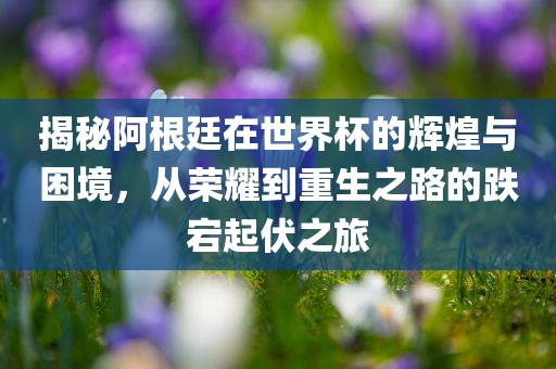 揭秘阿根廷在世界杯的辉煌与困境，从荣耀到重生之路的跌宕起伏之旅