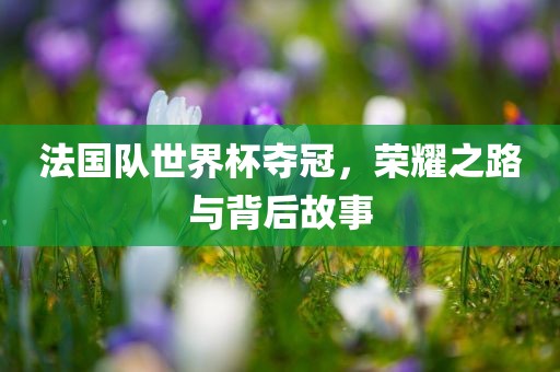 法国队世界杯夺冠，荣耀之路与背后故事