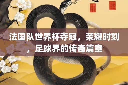 法国队世界杯夺冠，荣耀时刻，足球界的传奇篇章