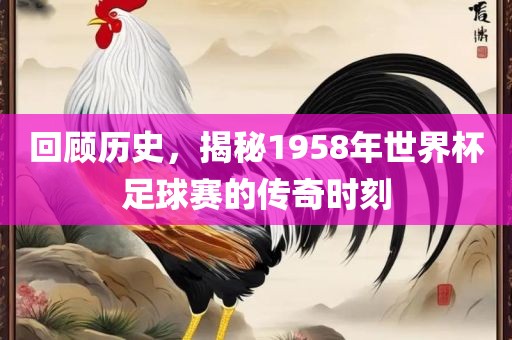 回顾历史，揭秘1958年世界杯足球赛的传漯河市盈旭机械设备有限公司奇时刻