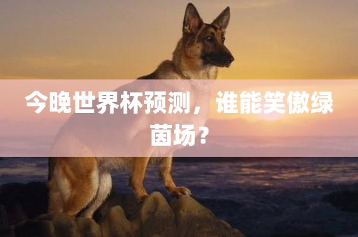 今晚世界杯预测，谁能笑傲绿茵场？漯河市盈旭机械设备有限公司