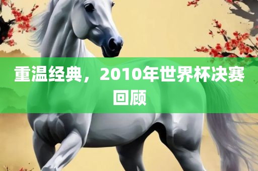 重温经典，2010年世界杯决赛回顾