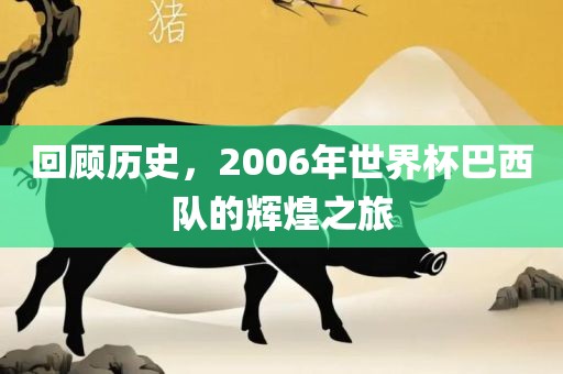 回顾历史，2006年世界杯巴西队的辉煌之旅