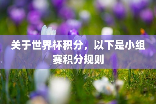 关于世界杯积分，以下是小组赛积分规则