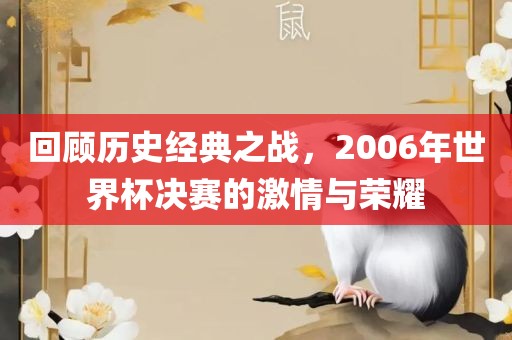 回顾历史经典之战，2006年世界杯决赛的激情与荣耀