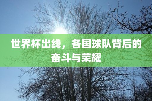 世界杯出线，各国球队背后的奋斗与荣耀