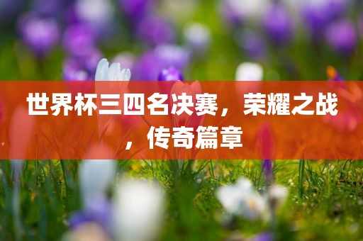 世界杯三四名决赛，荣耀之战，传奇篇章