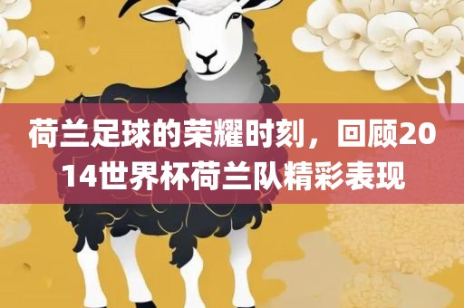 荷兰足球的荣耀时刻，回顾2014世界杯荷兰队精彩表现
