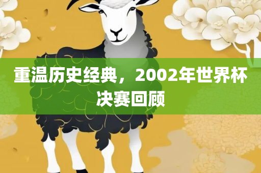 重温历史经典，2002年世界杯决赛回顾