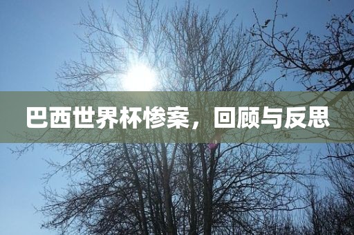 巴西世界杯惨案，回顾与反思